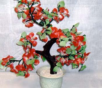 bonsai_felicita_rosso